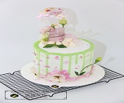 東莞塘廈蓮湖招聘面包中工、裱花中工，3500-4000，先到先得！